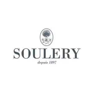 Soulery, un vendeur de chaussures